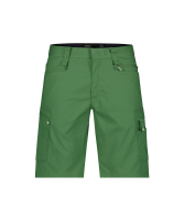 Dassy ® Zion, Pesco38, ulmengrün, standard, 44